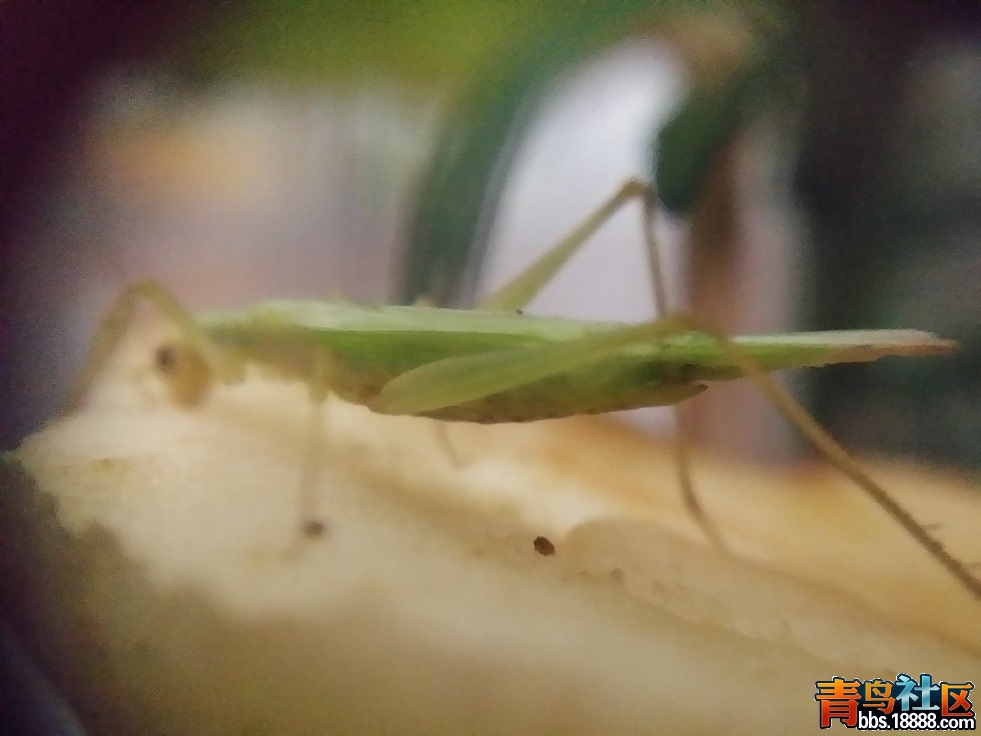 20150820_004902.jpg