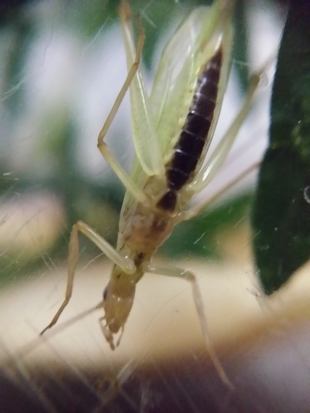 20150818_233624.jpg