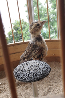 新建文件夹 (2)IMG_20150815_135756.jpg