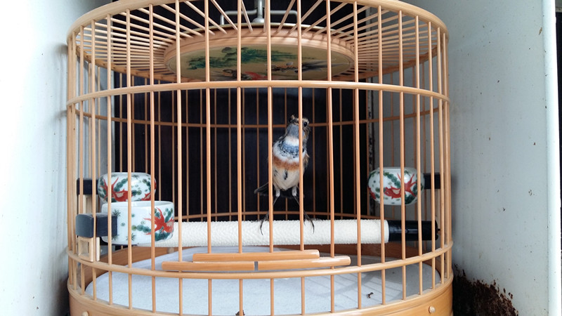 20150809_071104_副本.jpg
