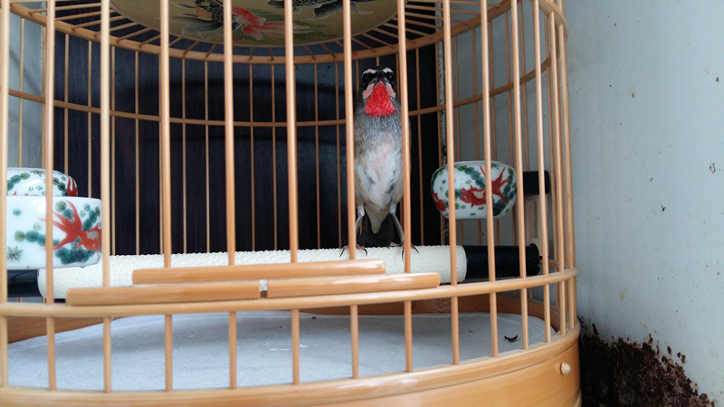 20150809_072516_副本.jpg