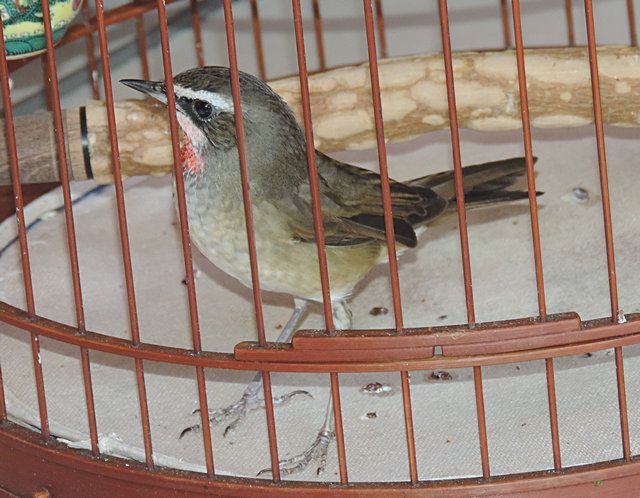 DSCN4627.JPG