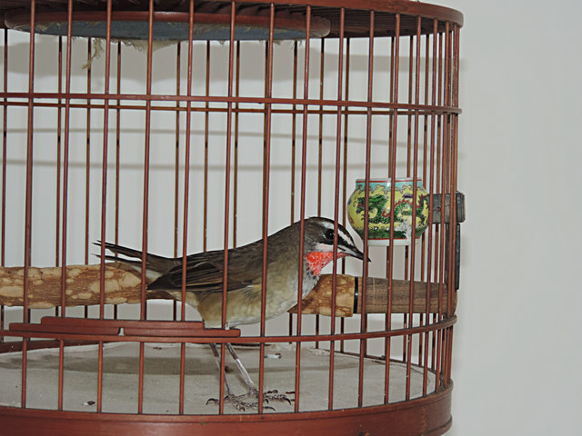 DSCN4579.JPG