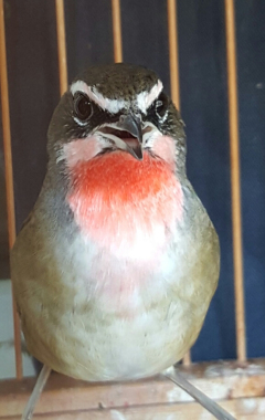 20150822_120144-1.jpg