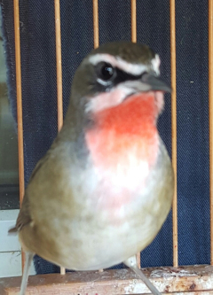 20150822_120052-1.jpg