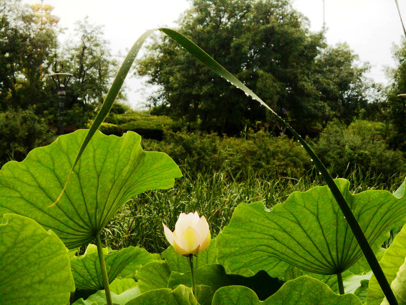 CIMG0907.JPG