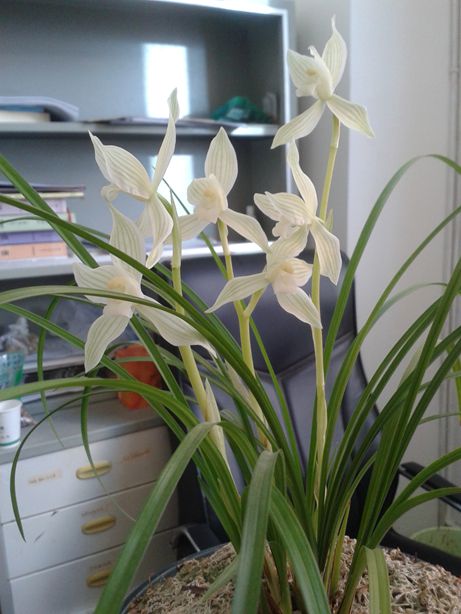 20150202_083407.jpg