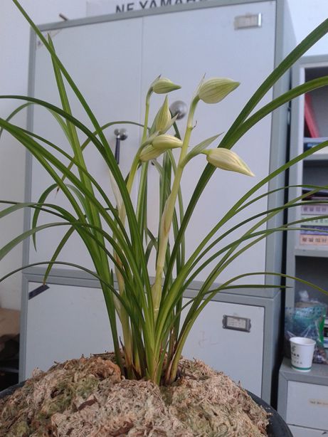20150128_084909.jpg