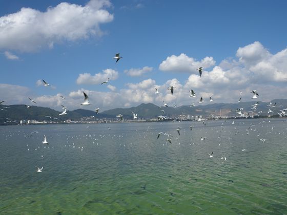 DSCN8268_副本.jpg