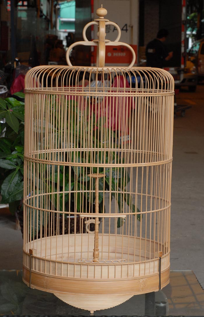 DSC_0001.JPG