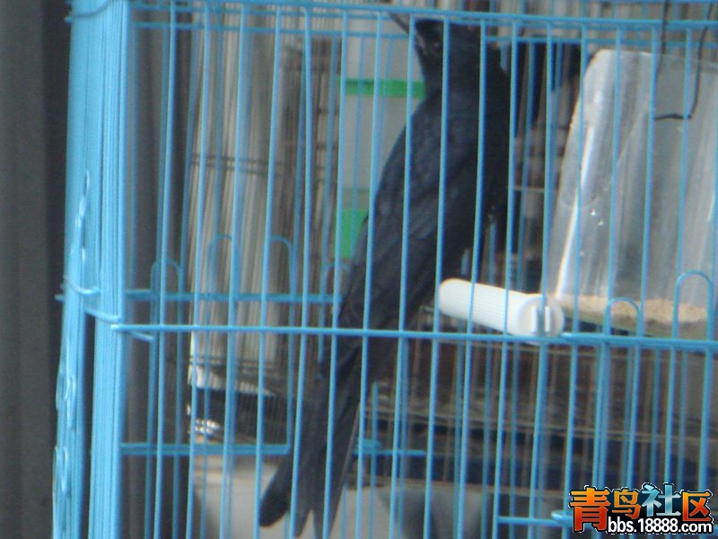 DSC07879_副本.jpg