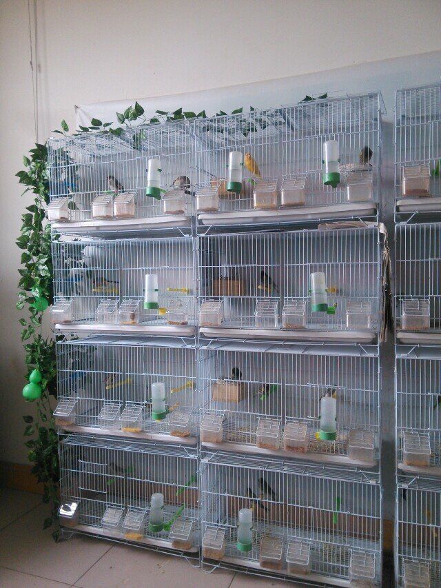 QQ图片20150915215836.jpg