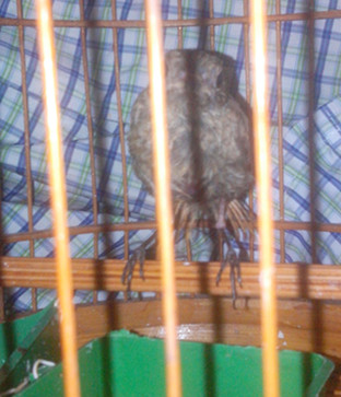 IMG20150912004.jpg