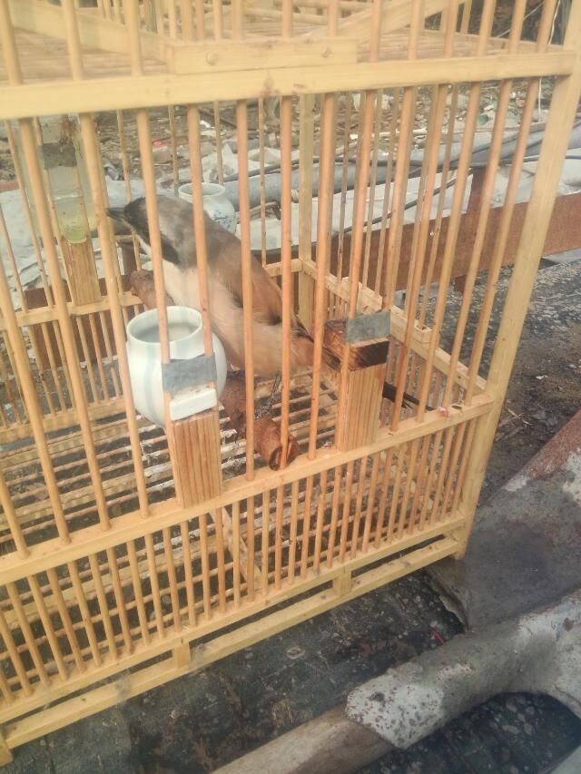 QQ图片20150924203343.jpg