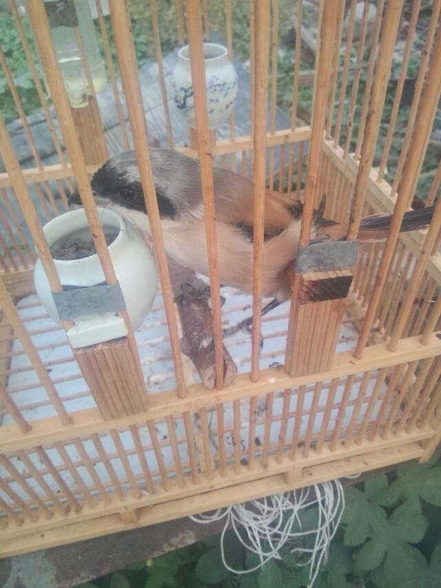 QQ图片20150924203357.jpg