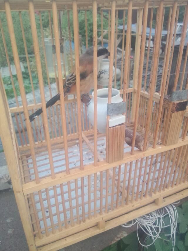 QQ图片20150924203553.jpg