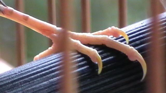 S1380010.JPG