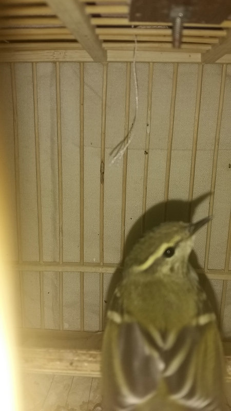 20150920_173256.jpg