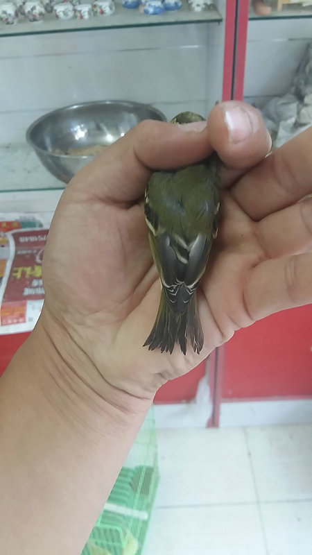 20150920_174140.jpg