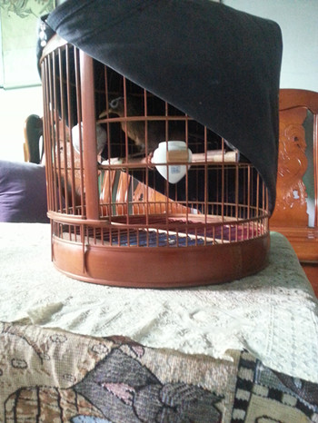 20150922_162349.jpg