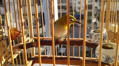IMG_20150912_171508_副本.jpg