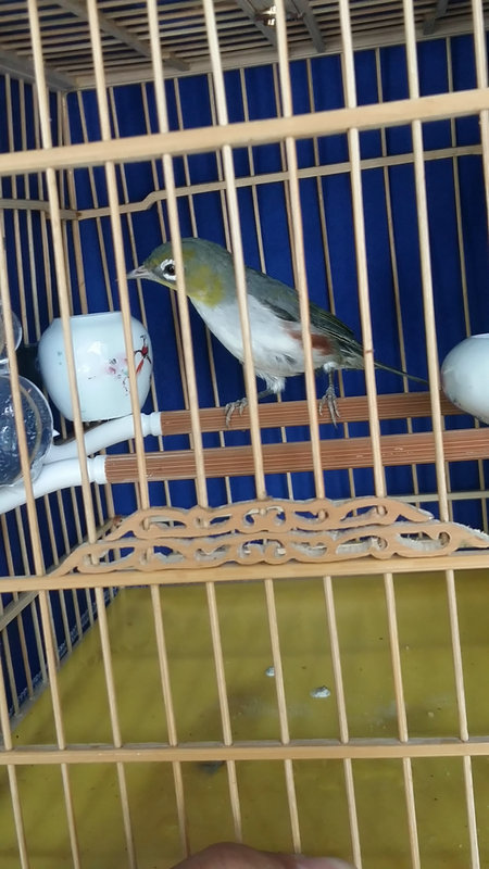 20150919_132444.jpg