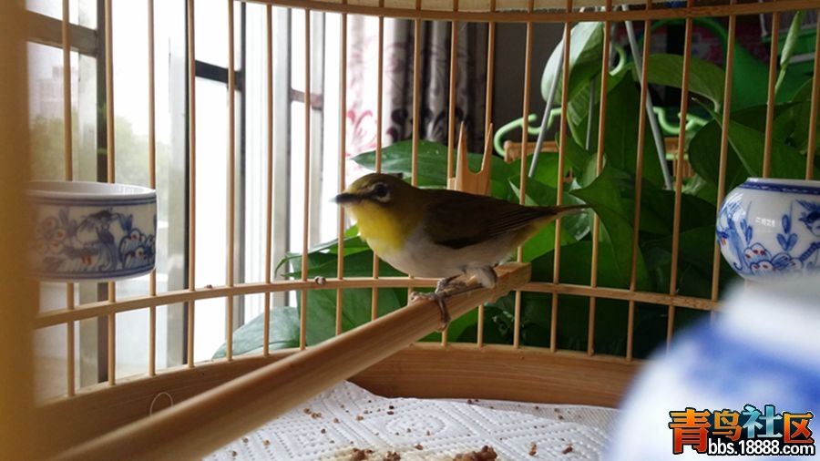 IMG20150904164015.jpg