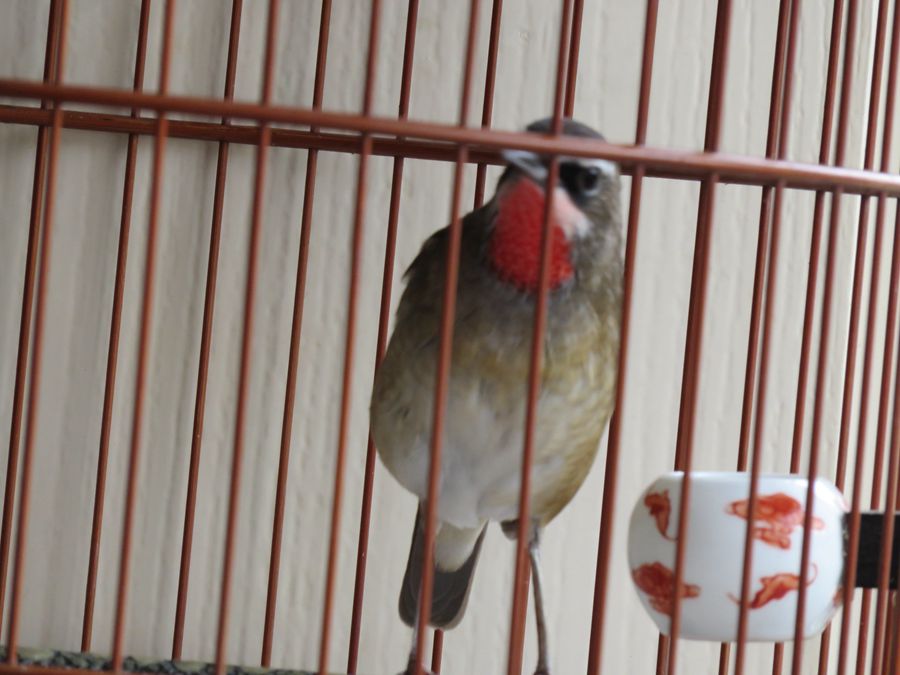 IMG_1745.JPG