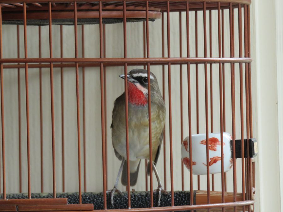 IMG_1716.JPG
