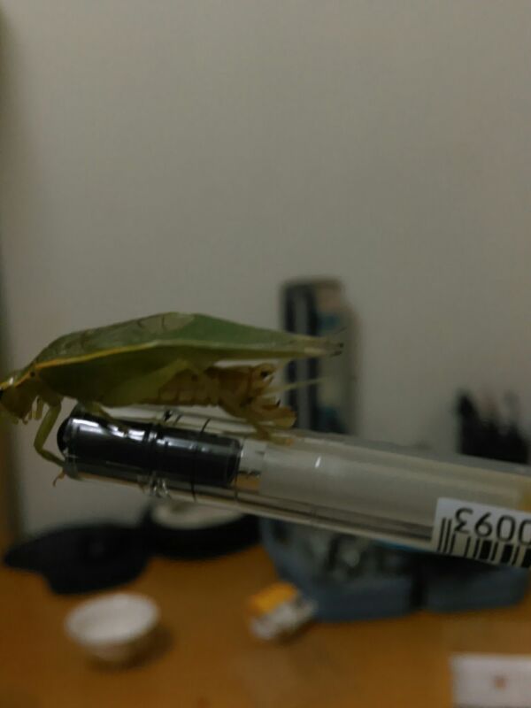 UC_Photo_056.jpg