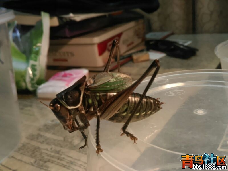 UC_Photo_053.jpg