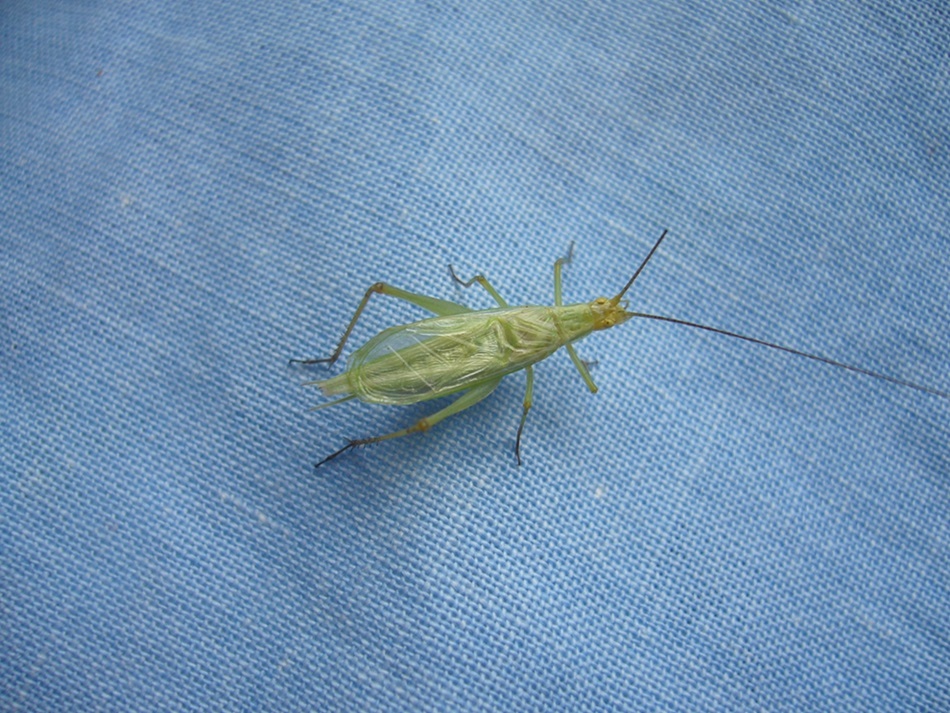 P1150676副本.JPG