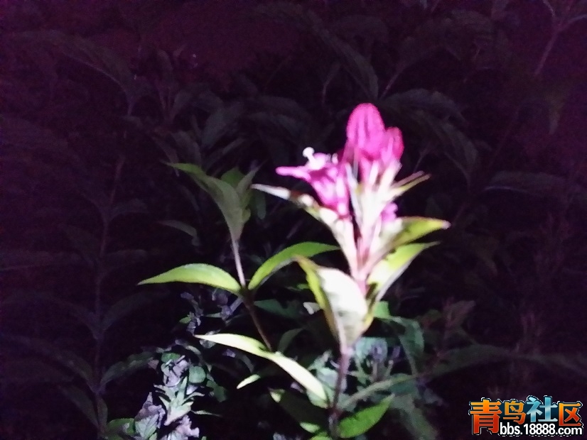 20150914_212941.jpg