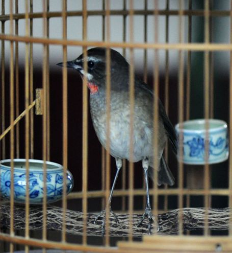 _DSC0037_副本.jpg