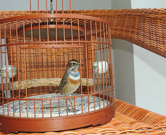 DSCN4875.JPG