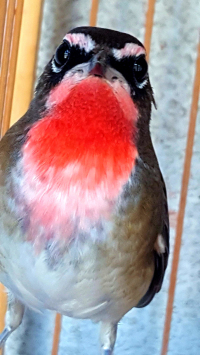 20150912_150456.jpg