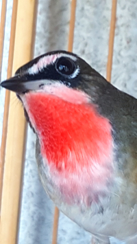 20150912_145326.jpg