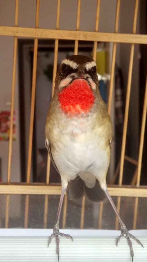 s900_IMG_20150927_120839_HDR.jpg