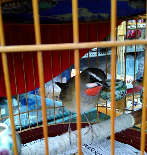 IMG_20150926_111928_HDR.jpg