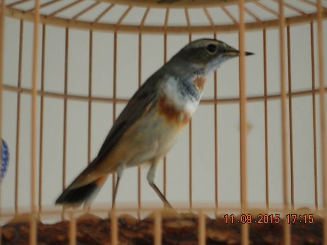 DSCN4619.JPG