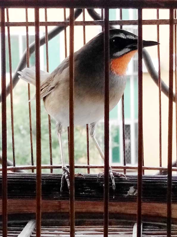 20150915141931.jpg