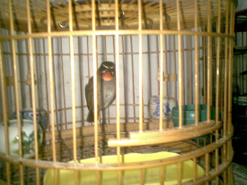 20150907(003).jpg