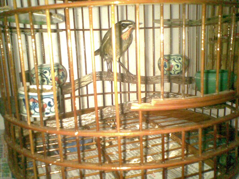 20150907(004).jpg