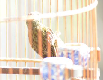 DSC_0070_副本.jpg