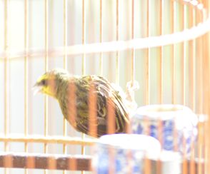 DSC_0071_副本.jpg