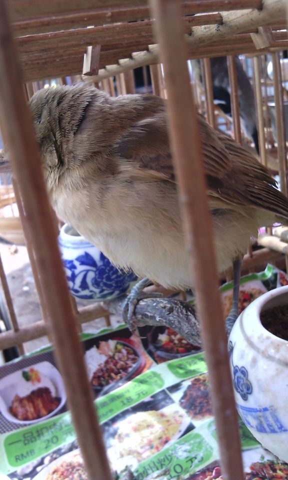 QQ图片20150920181425.jpg
