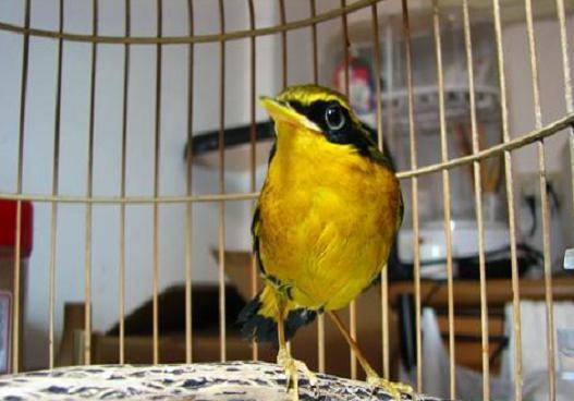 258_267721_bb31a3c0d447d7e[1].jpg