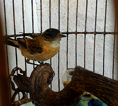 20151016_160944_副本.jpg