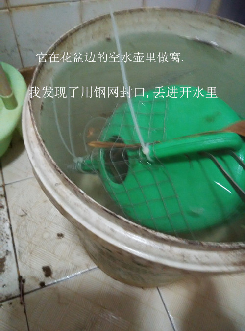 IMG_20151003_144119_副本.jpg