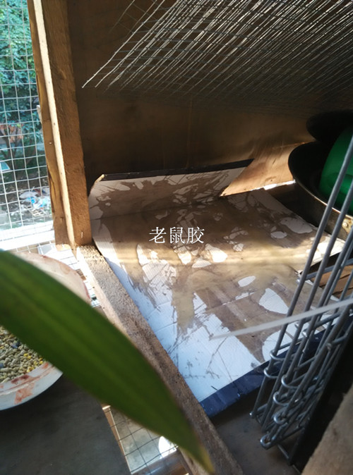 IMG_20151009_154410_副本.jpg